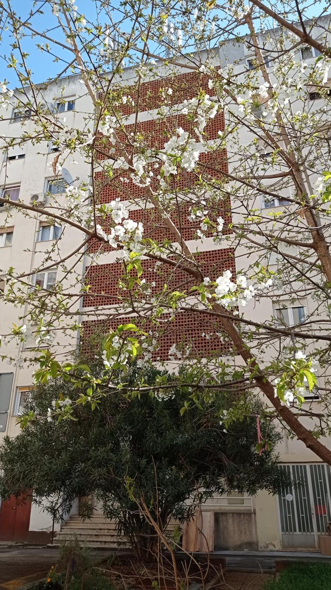 App Letta Sunset Pula Appartement Buitenkant foto